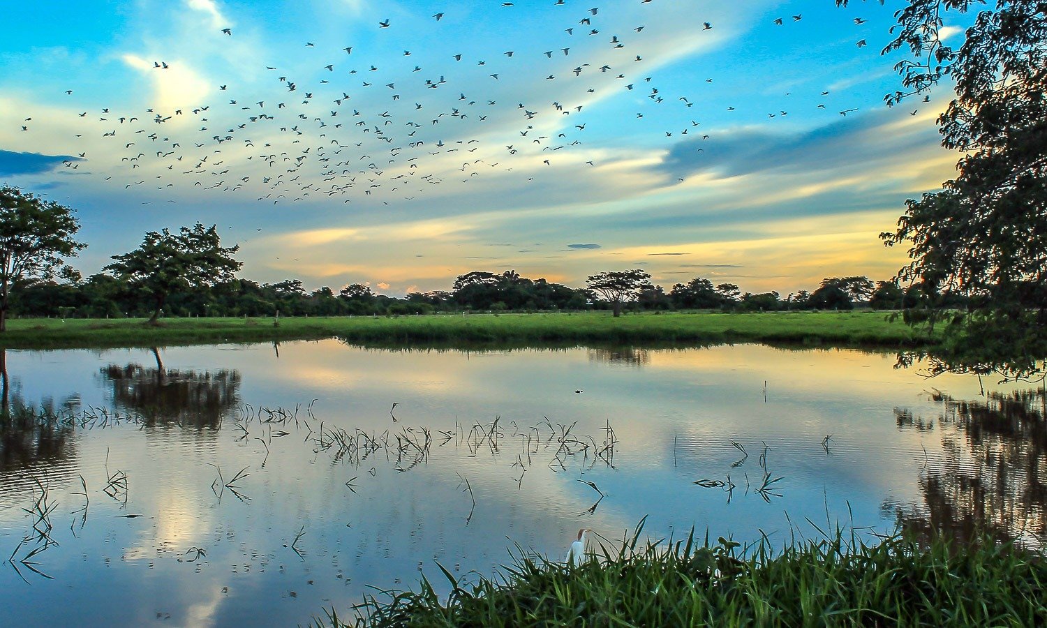 imgi_5_slider_portalinfantil_1